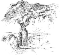 SKIVE KIRKEGÅRDE