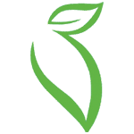 Skimmel Remove ApS