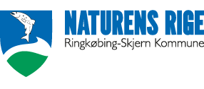 Ringkøbing-Skjern Kommune